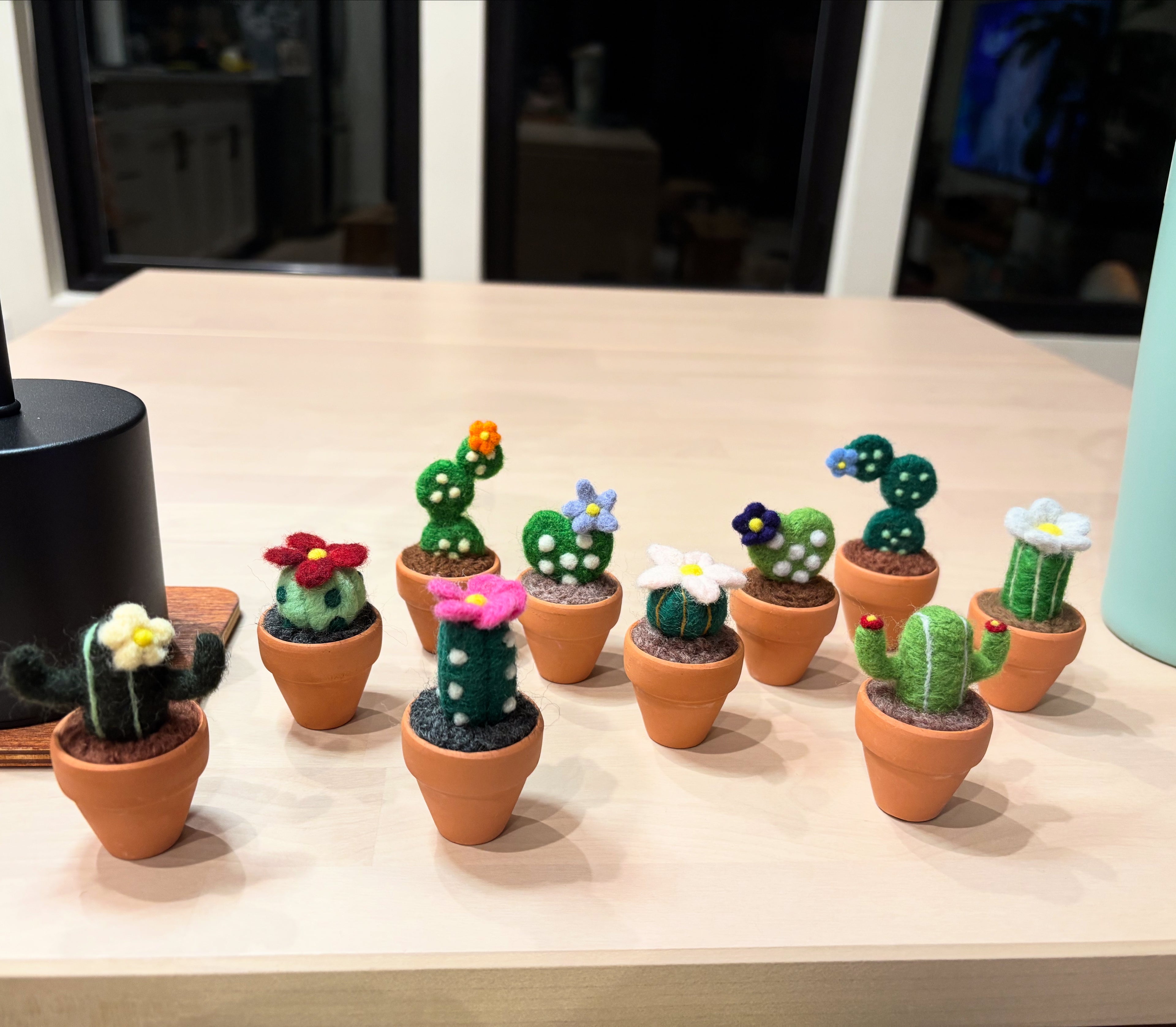Stickin’ Succulent | Mini Handmade Needle Felted Plant