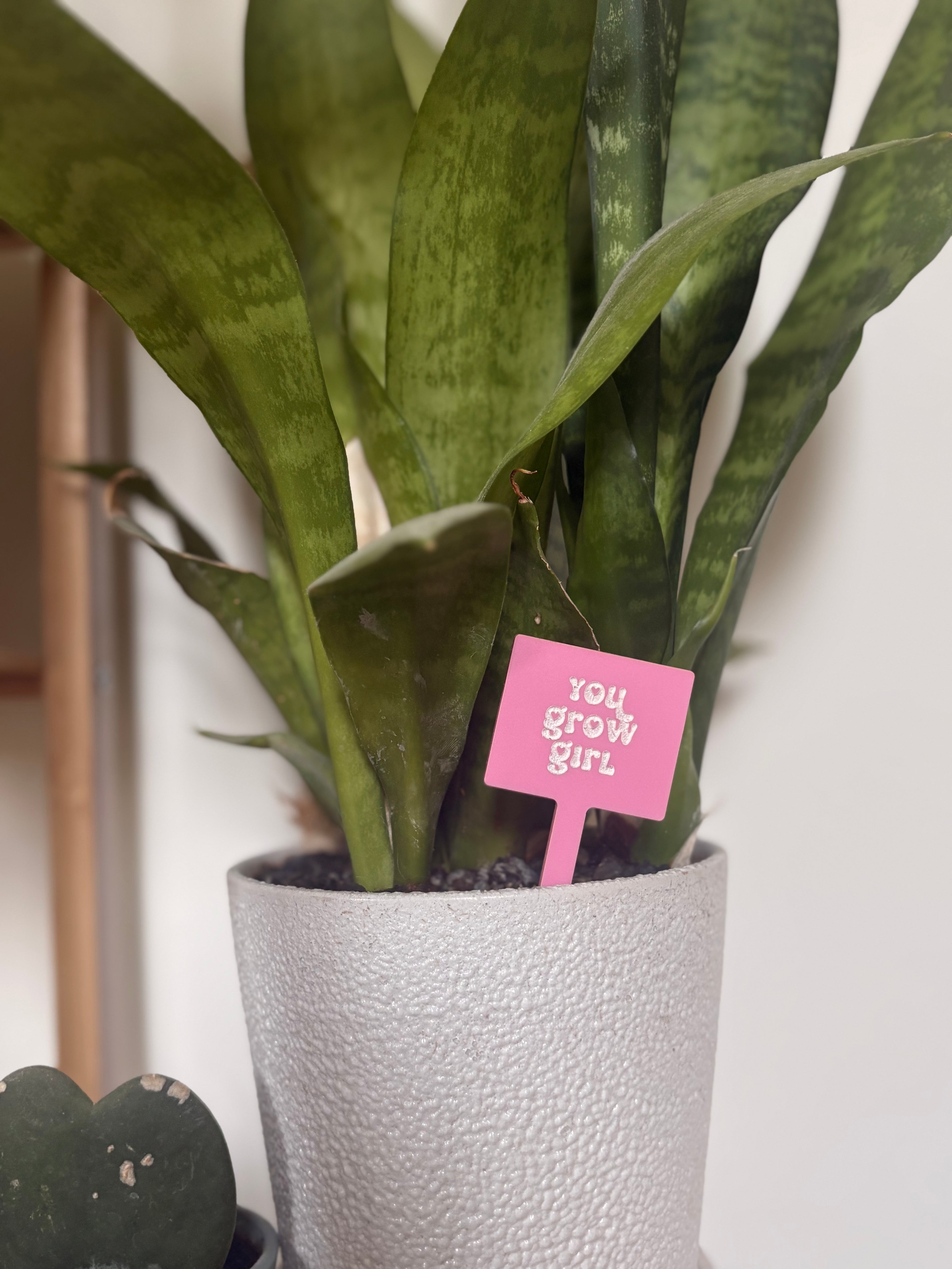 Potted Personality | Laser Engraved Acrylic Plant Stakes