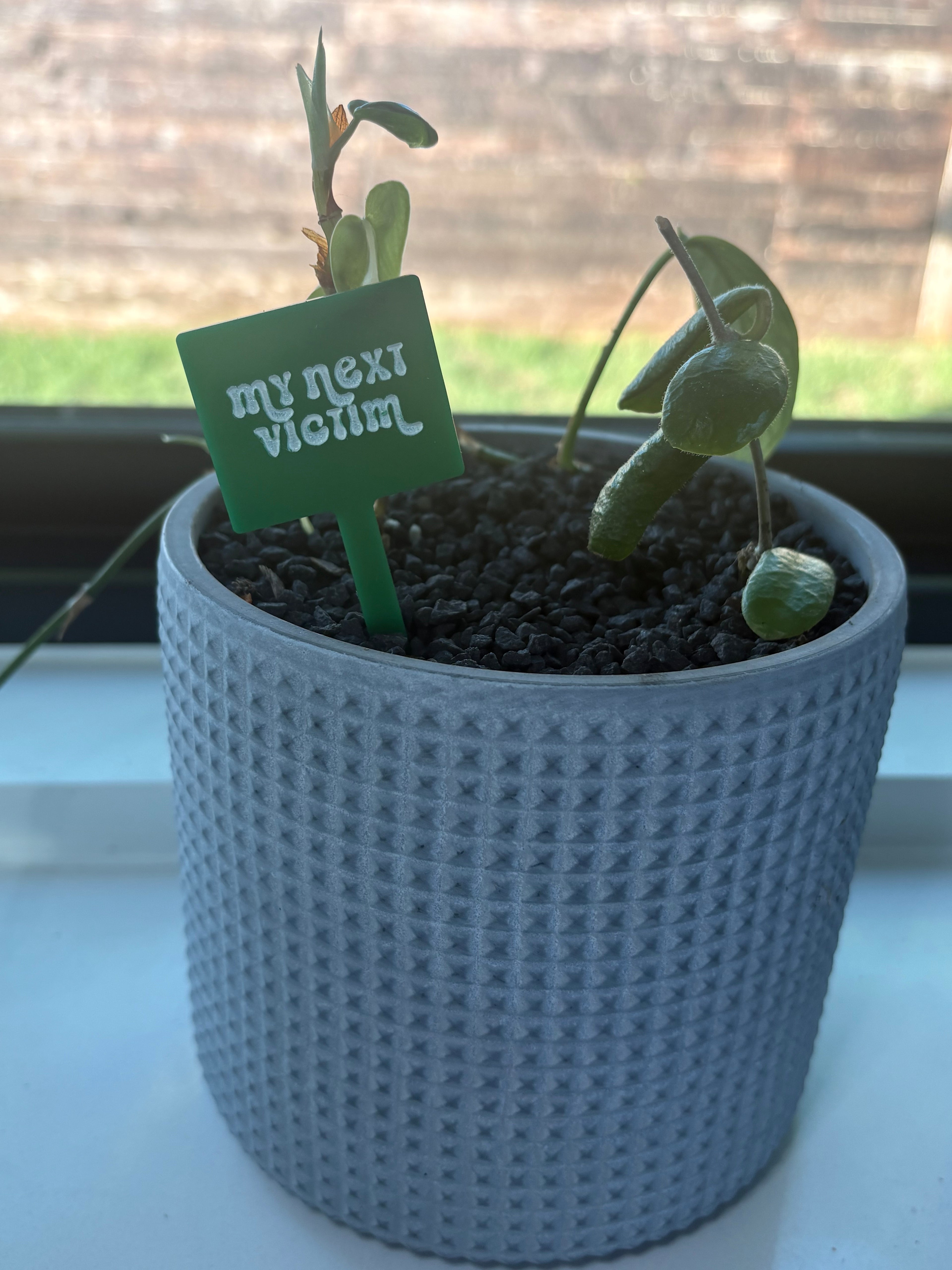 Potted Personality | Laser Engraved Acrylic Plant Stakes