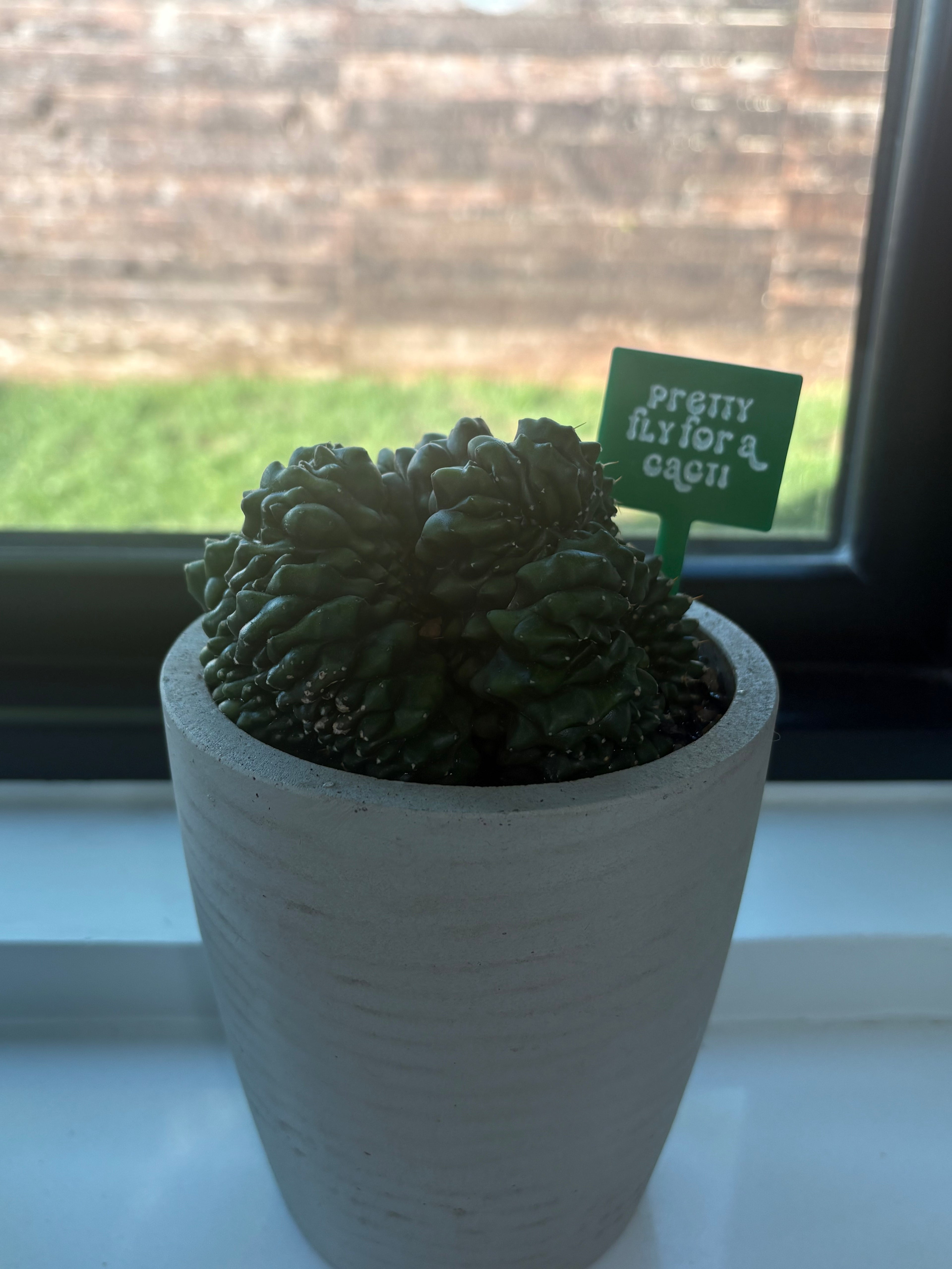 Potted Personality | Laser Engraved Acrylic Plant Stakes