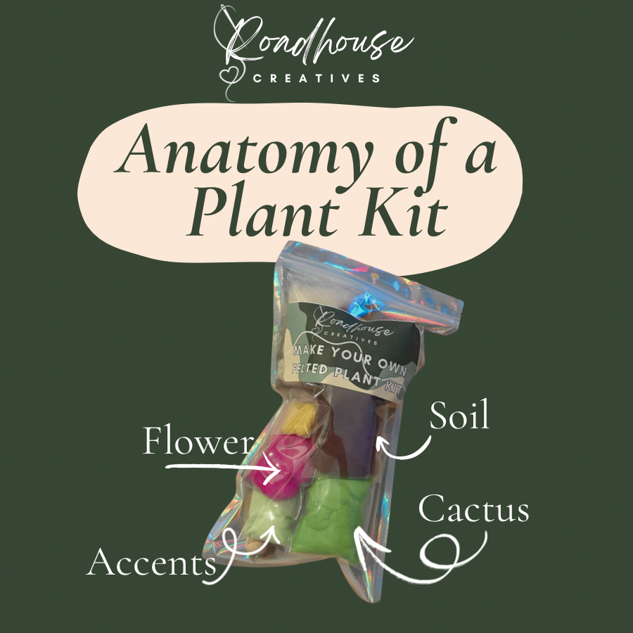 Felt It Yourself | Needle Felted Plant DIY Kit