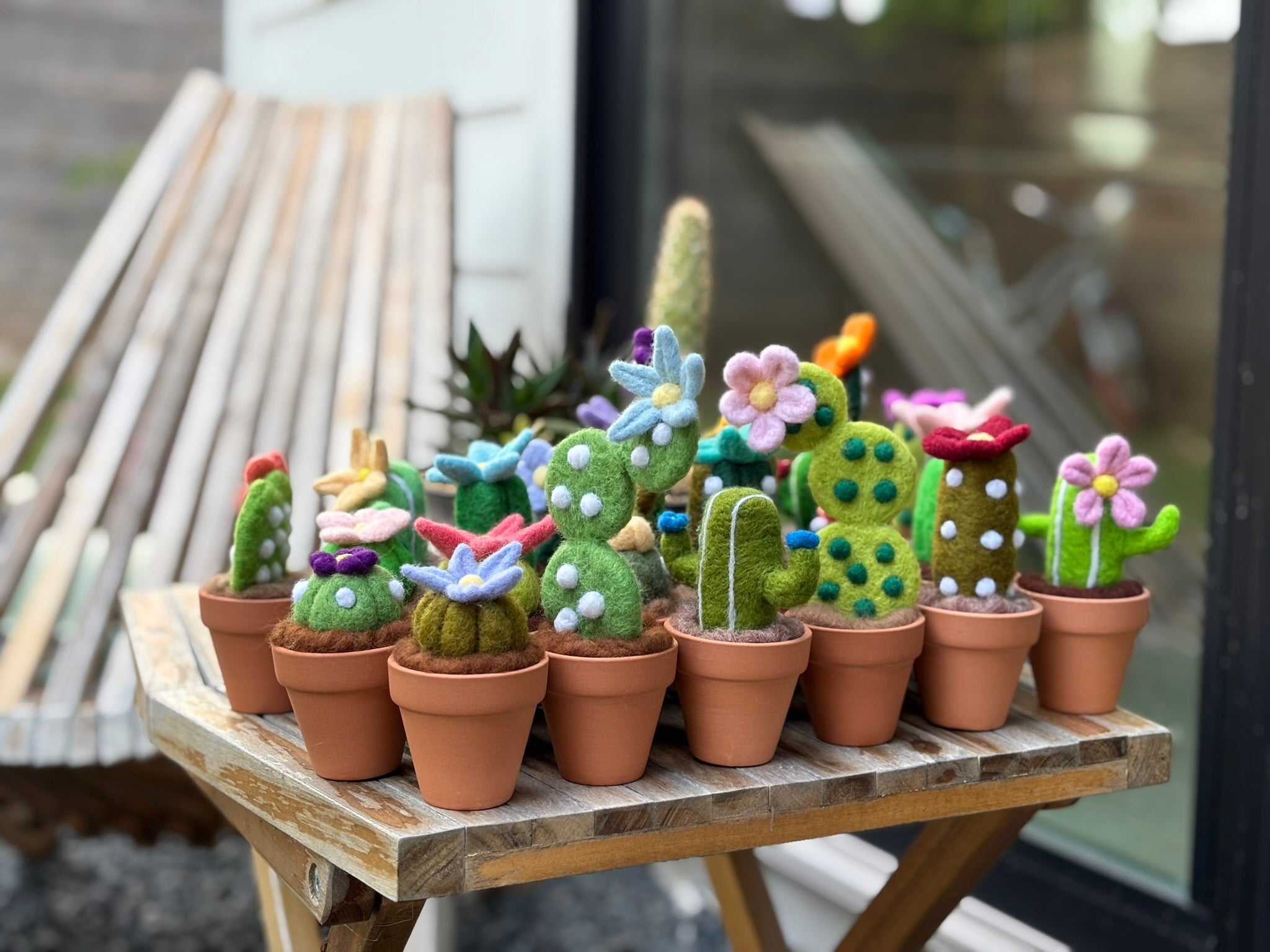 Stickin’ Succulent | Handmade Needle Felted Plant