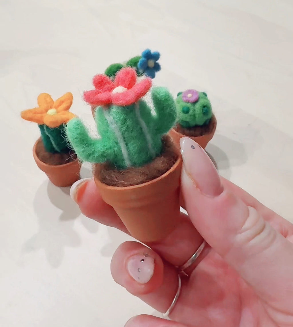 Stickin’ Succulent | Mini Handmade Needle Felted Plant