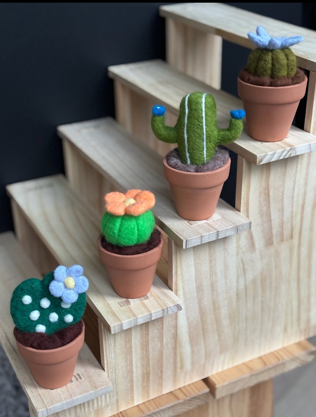 Stickin’ Succulent | Handmade Needle Felted Plant