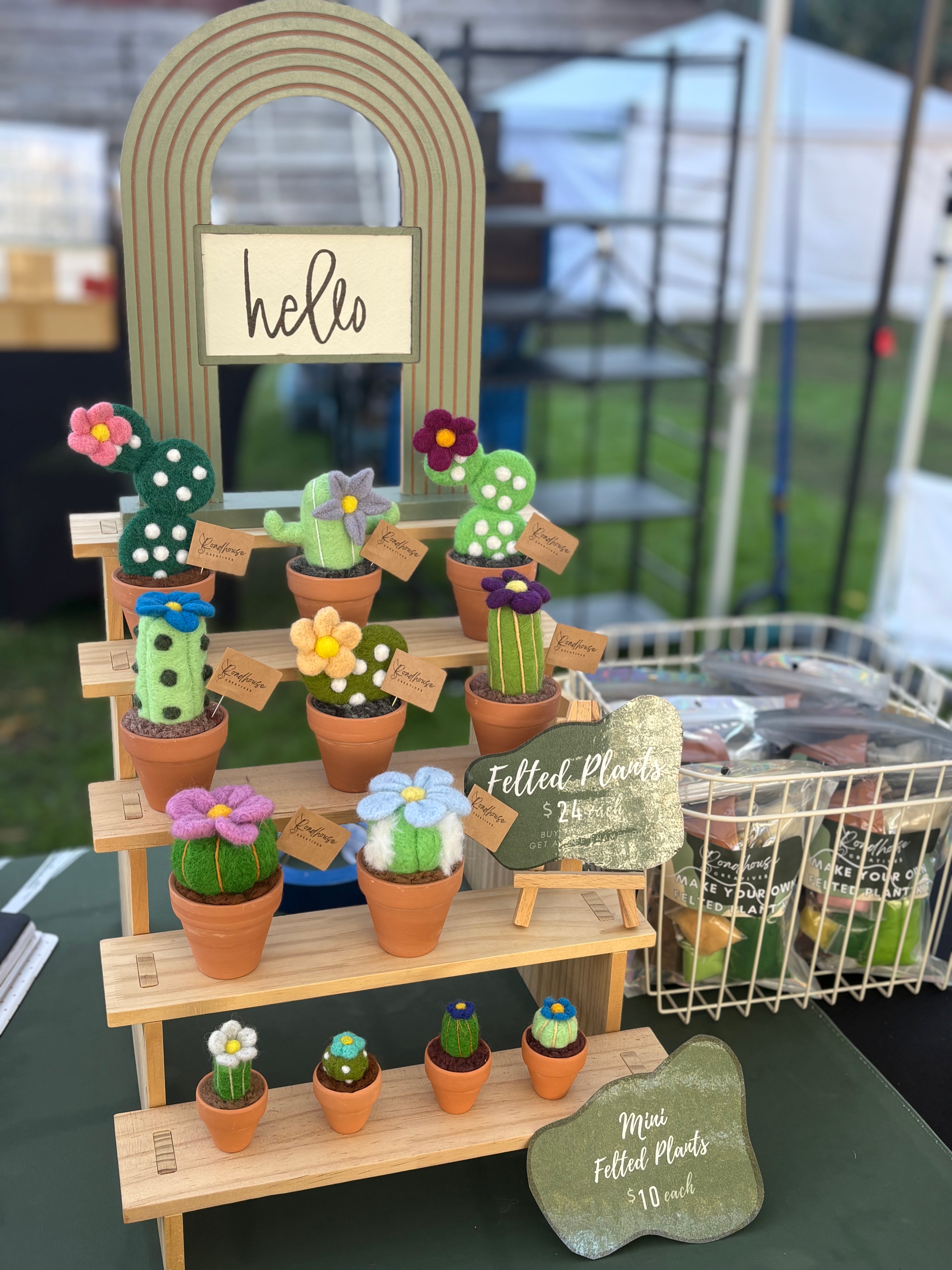 Stickin’ Succulent | Handmade Needle Felted Plant