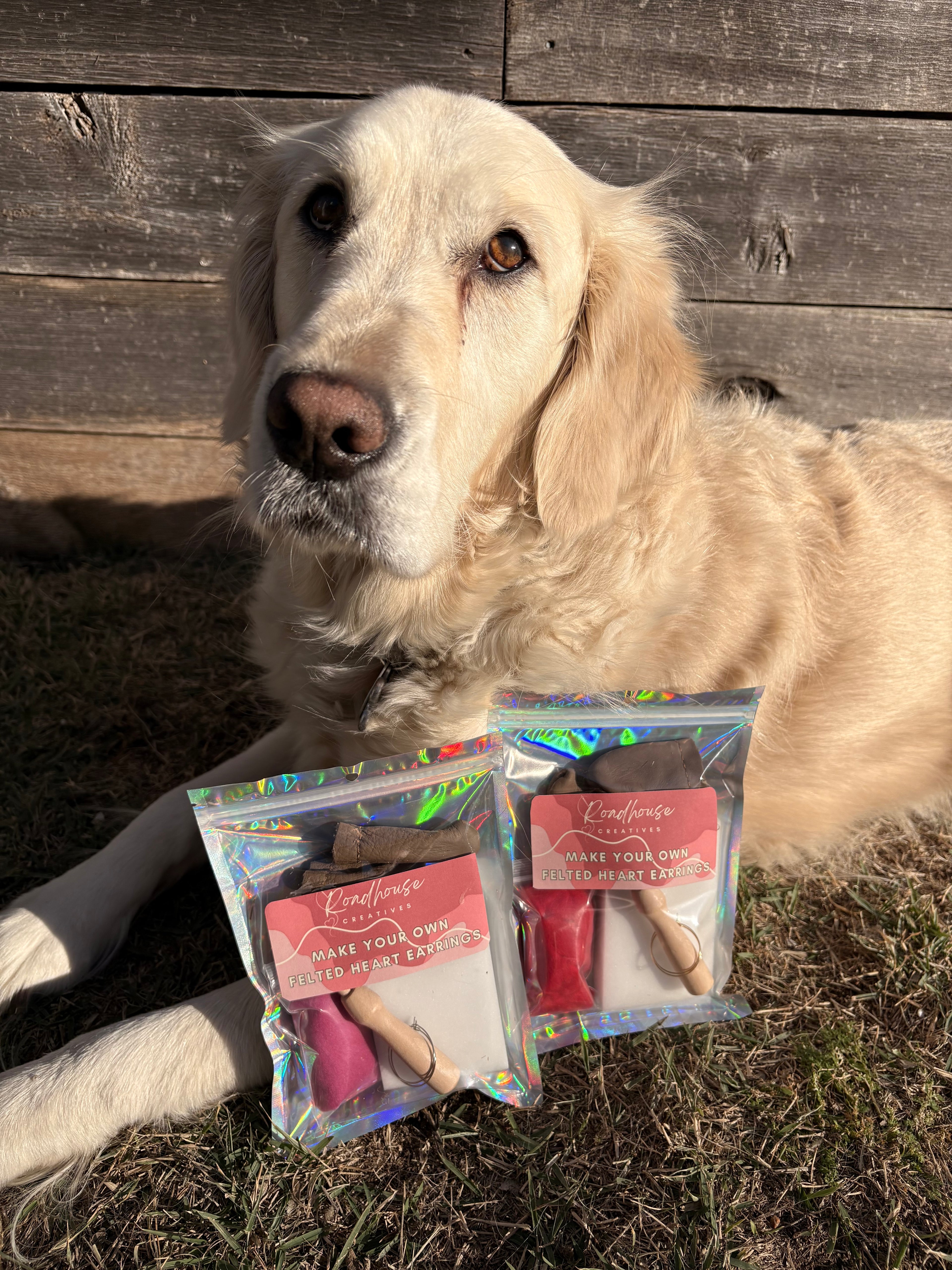 Felt It Yourself | Heart Needle Felting DIY Kit