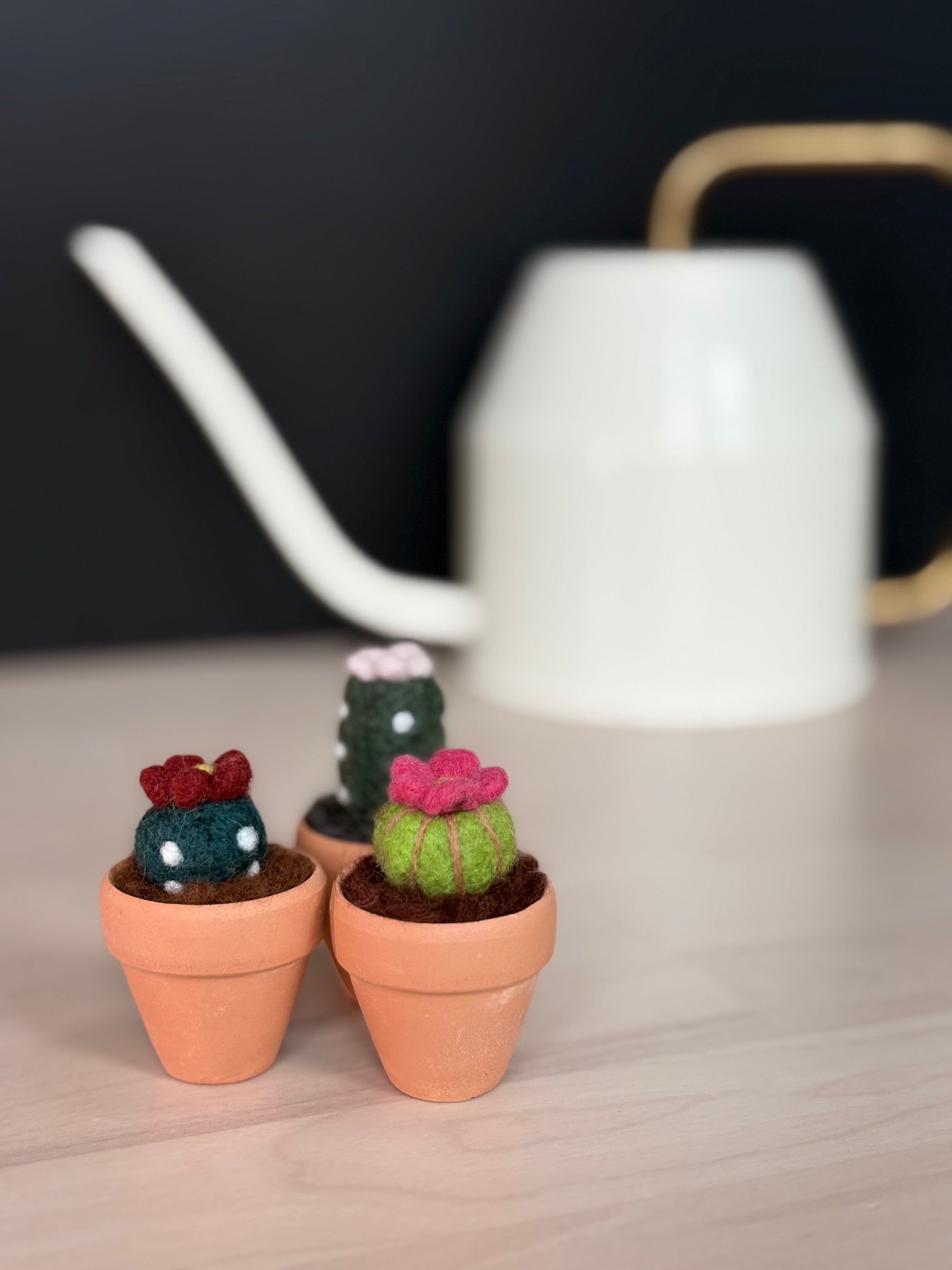Stickin’ Succulent | Mini Handmade Needle Felted Plant