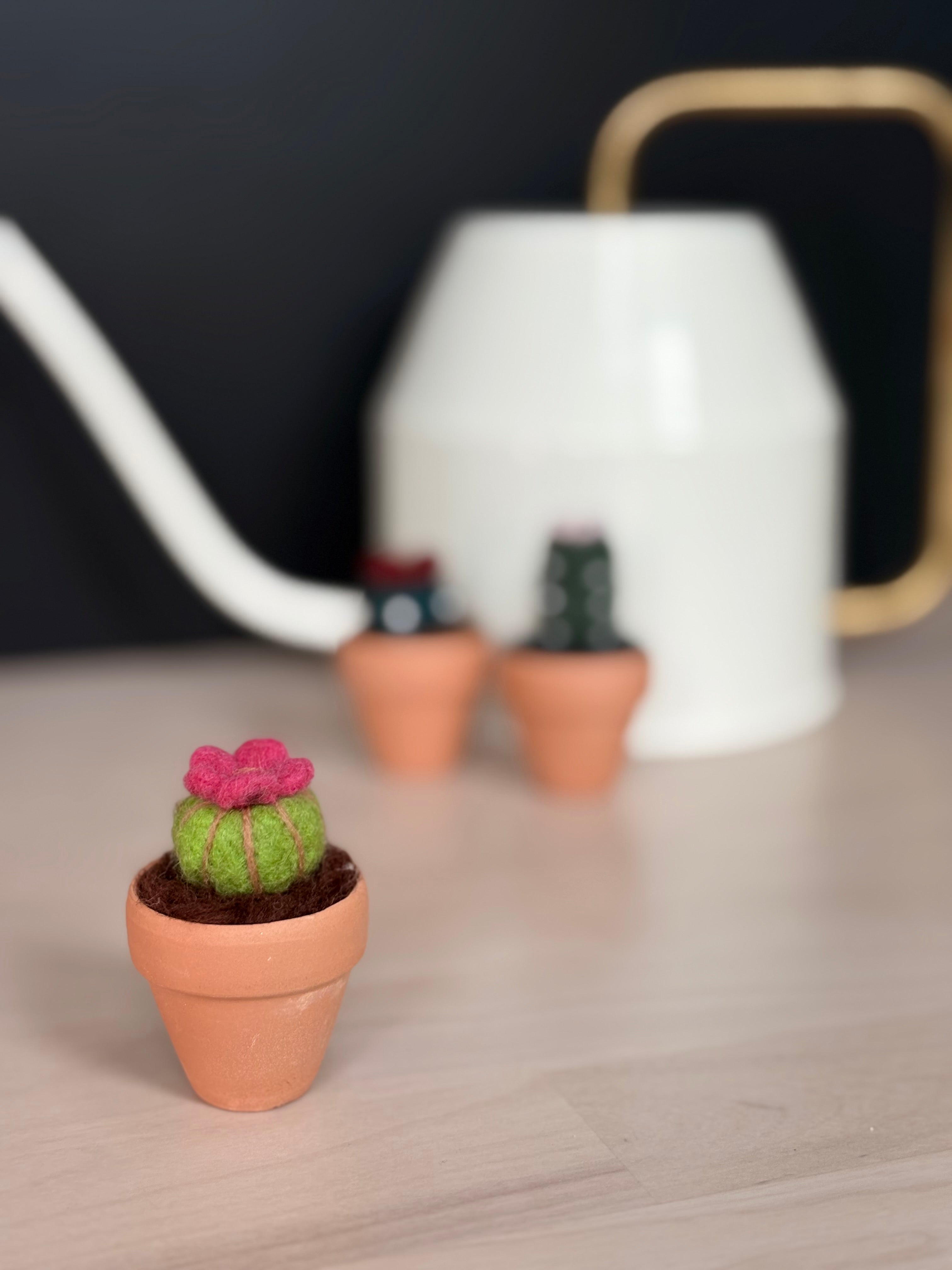 Stickin’ Succulent | Mini Handmade Needle Felted Plant