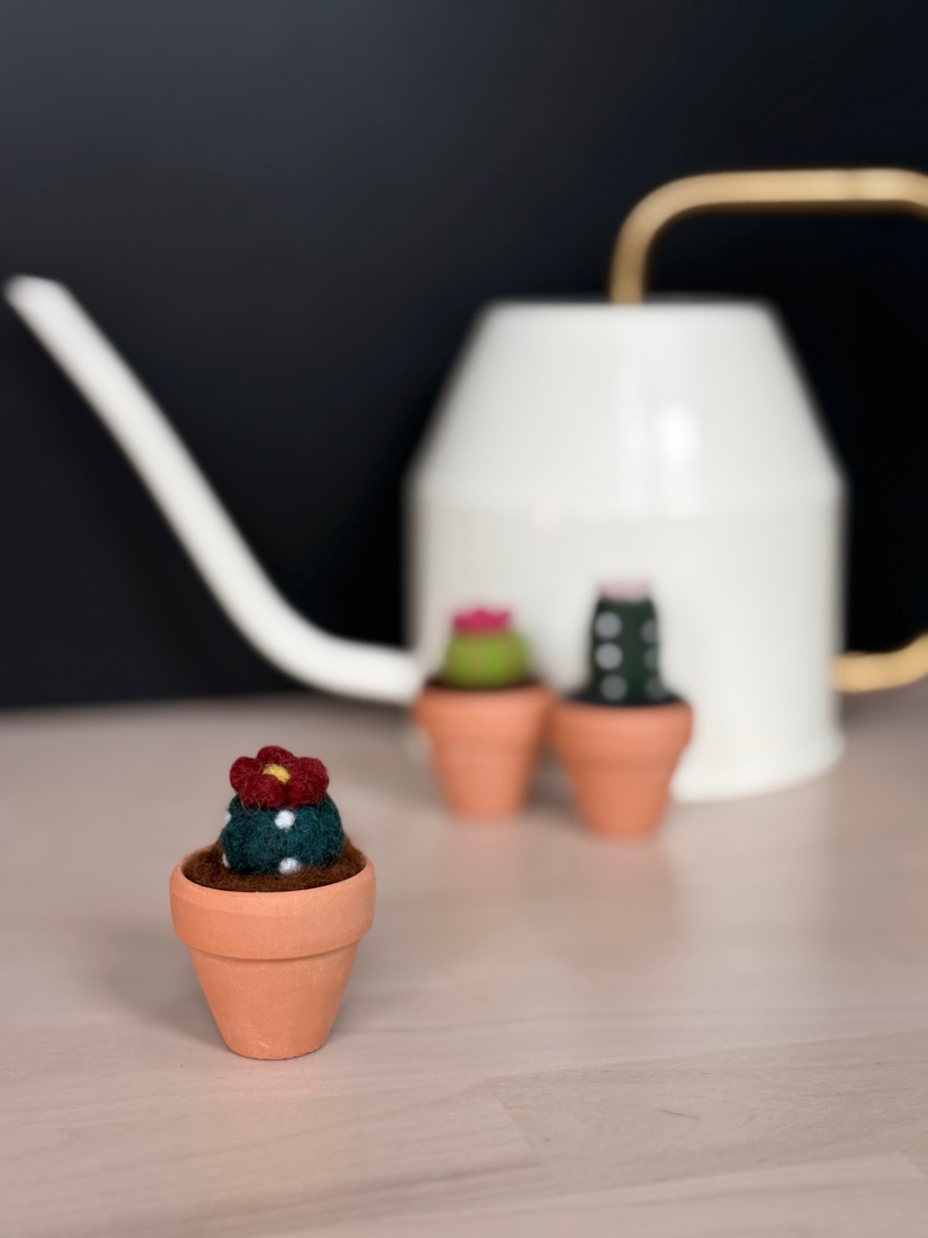 Stickin’ Succulent | Mini Handmade Needle Felted Plant