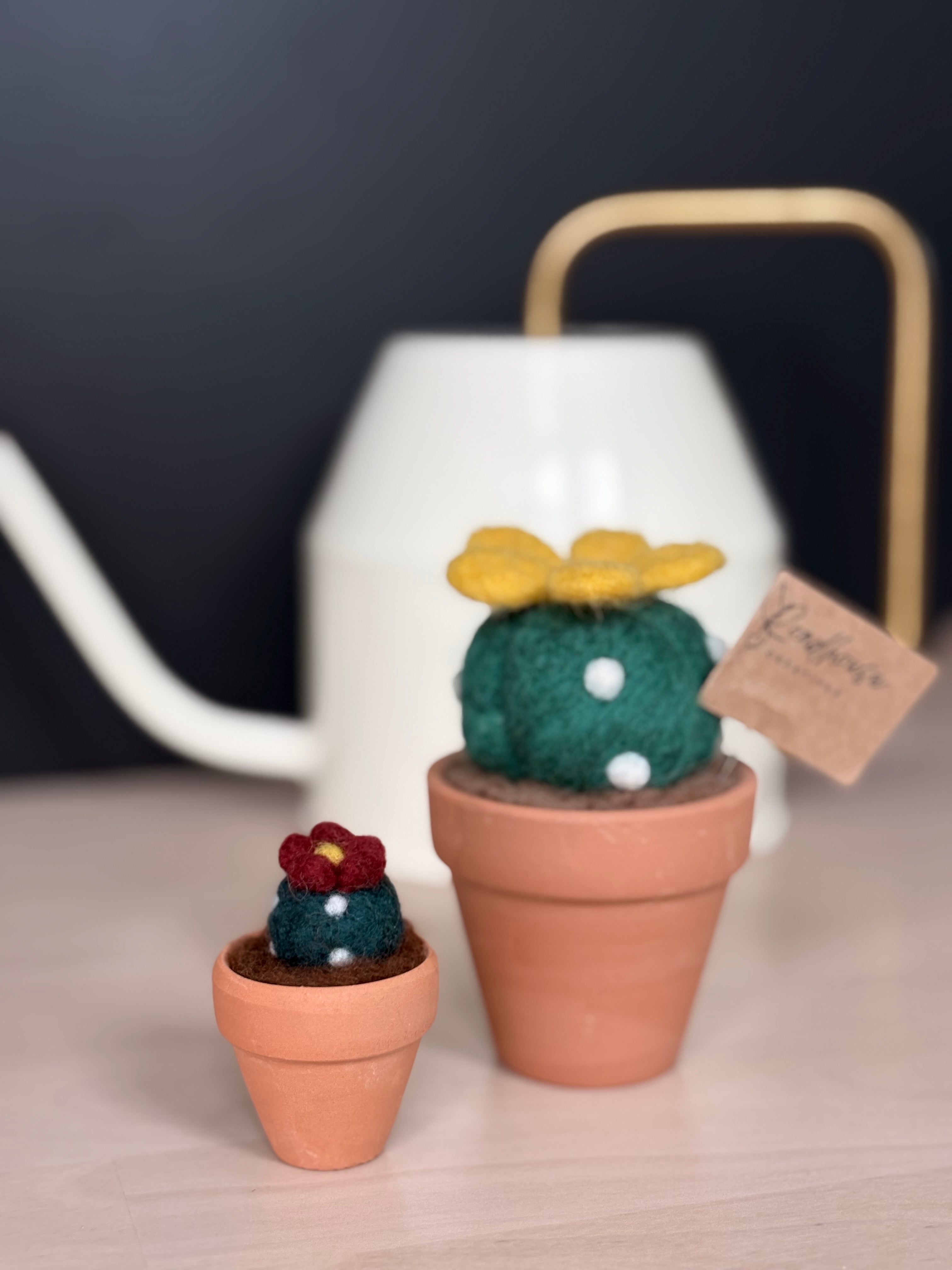Stickin’ Succulent | Mini Handmade Needle Felted Plant