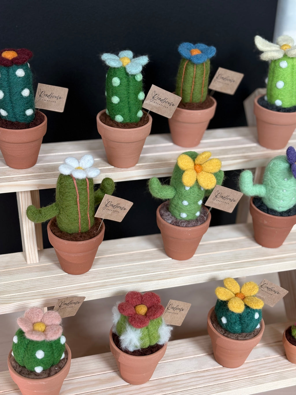 Stickin’ Succulent | Handmade Needle Felted Plant