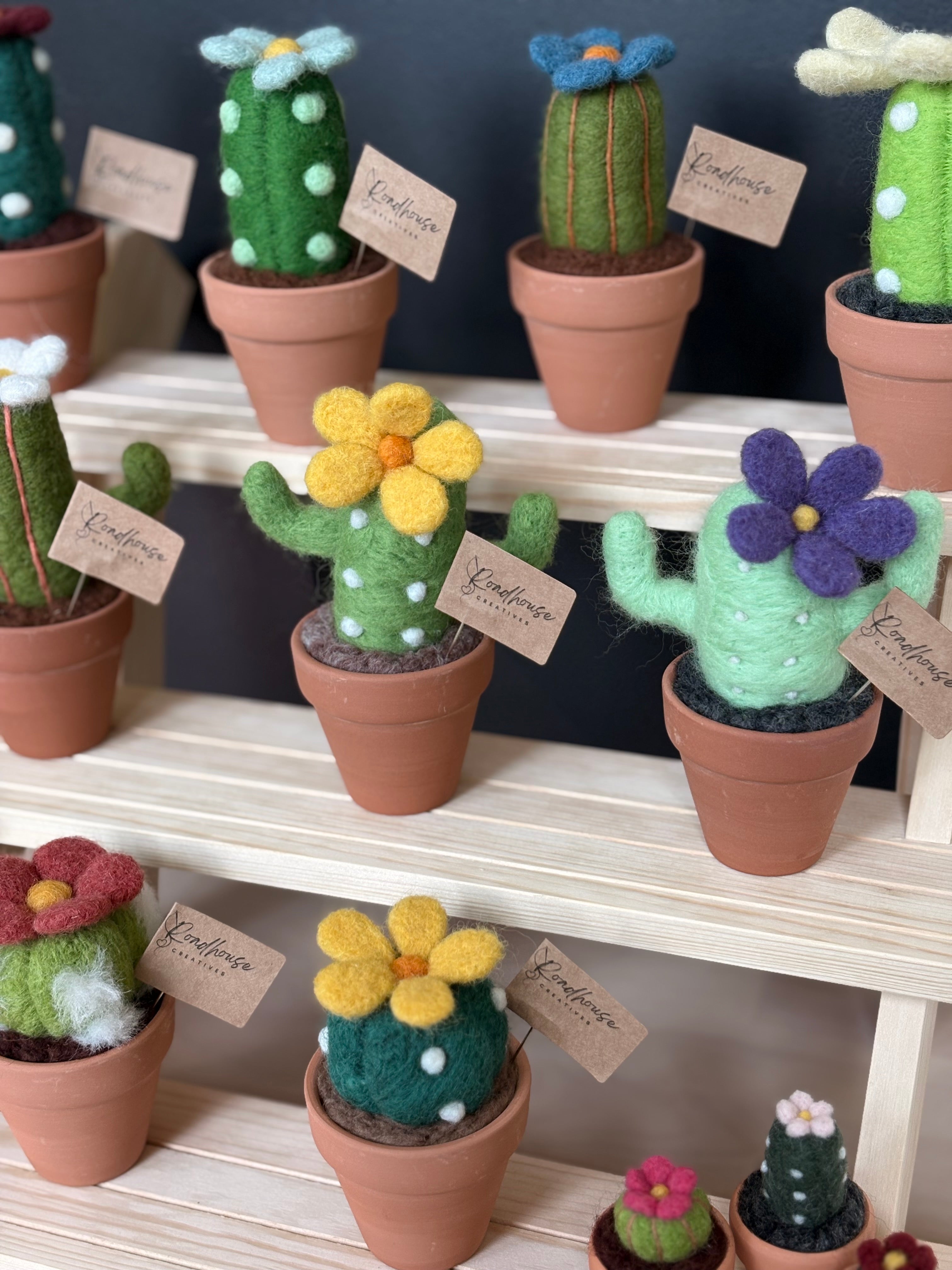 Stickin’ Succulent | Handmade Needle Felted Plant