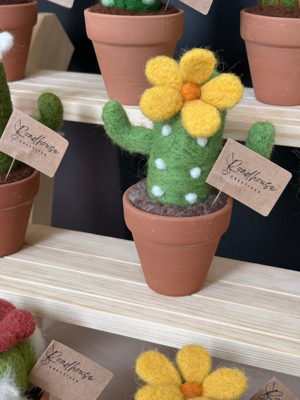 Stickin’ Succulent | Handmade Needle Felted Plant