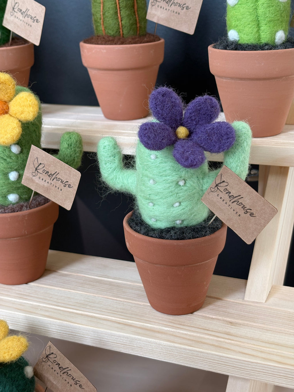 Stickin’ Succulent | Handmade Needle Felted Plant