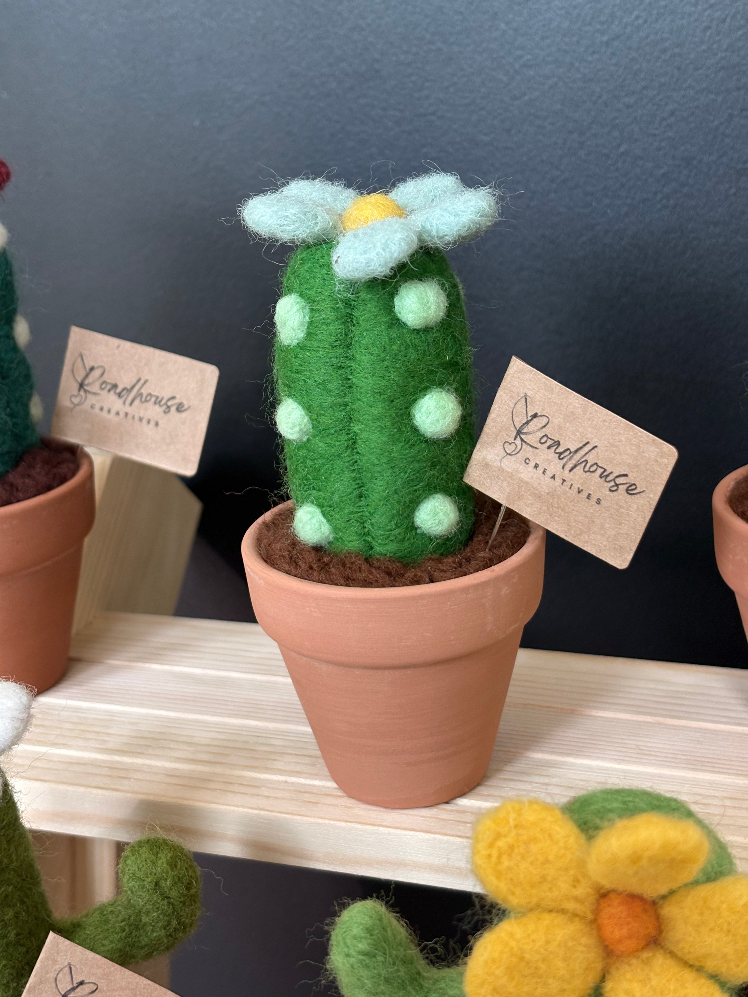 Stickin’ Succulent | Handmade Needle Felted Plant