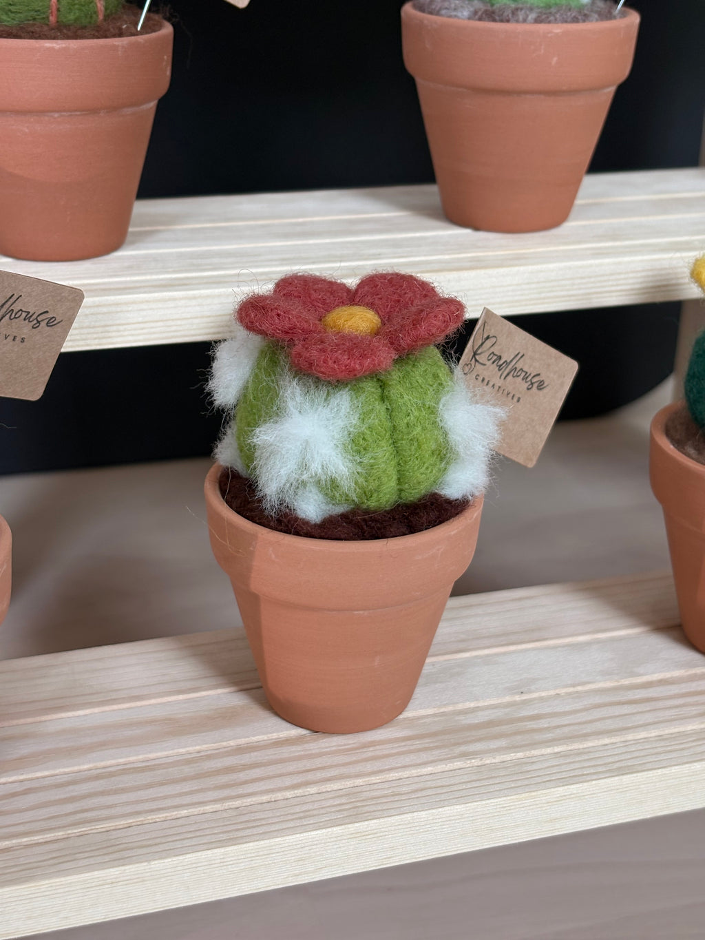 Stickin’ Succulent | Handmade Needle Felted Plant