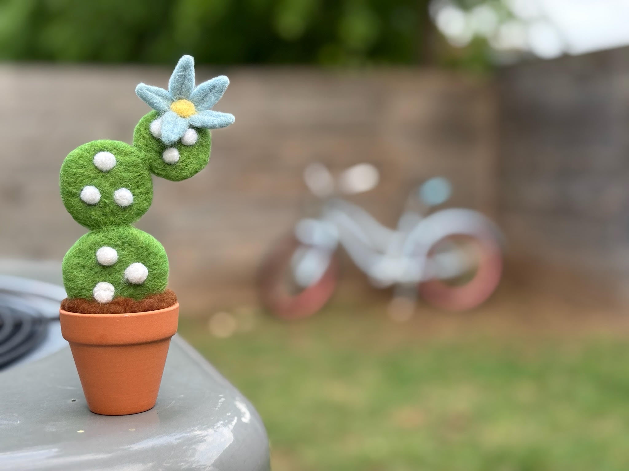 Stickin’ Succulent | Handmade Needle Felted Plant